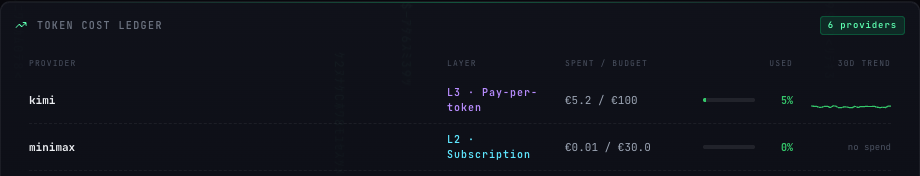 BlackUnicorn AI Management System token cost ledger showing provider layers, spend against budget, and usage trends
